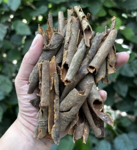Quế chẻ (split cassia)