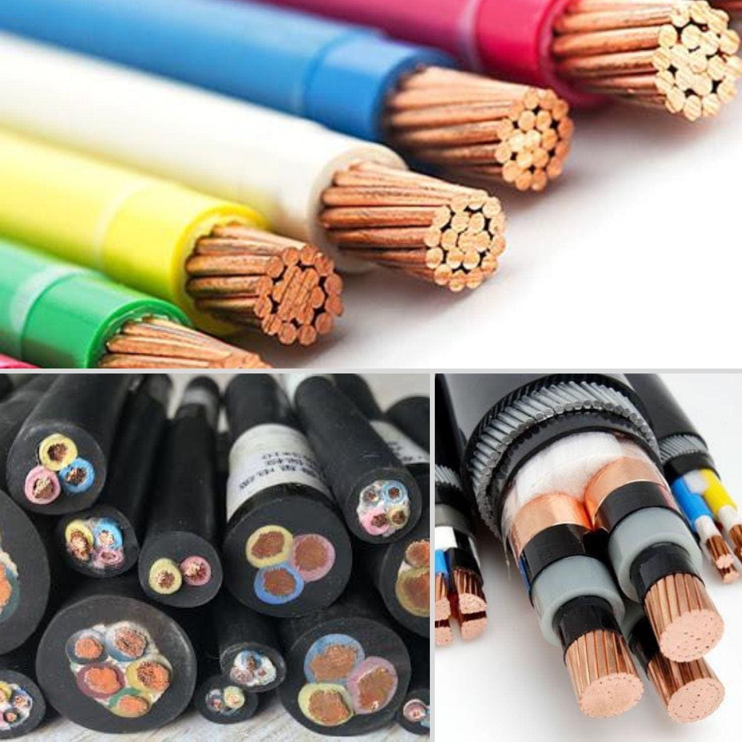 Hạt điều 1231221 cao su